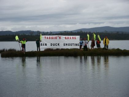 Tassie's Shame - Ban Duck Shooting