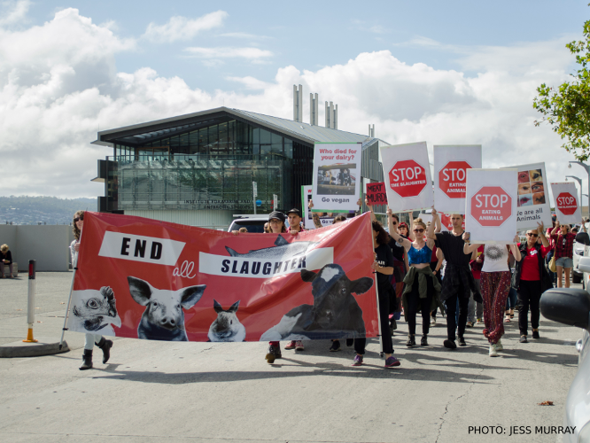 March to End Slaughter 2017