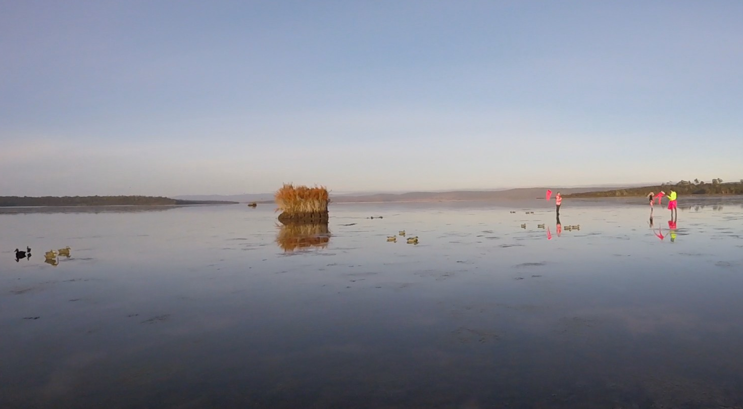 Duck Rescue 2018 - Moulting Lagoon